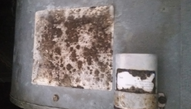 Air Duct Cleaning for Mold Spores in and near Naples Florida
