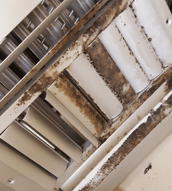 Air Duct Cleaning for Water Damage in Florida